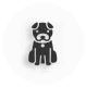 Pets and Pet Care Pets and Pet Care